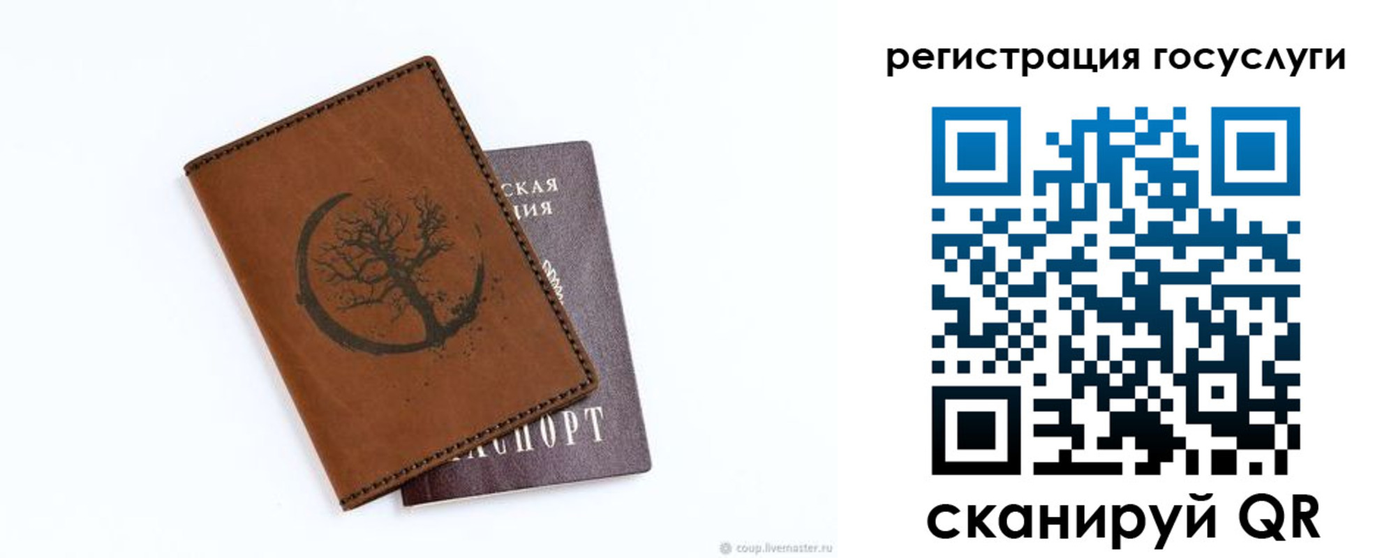 прописка для школы в Новочеркасске